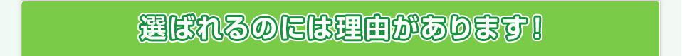 選ばれるのには理由があります！